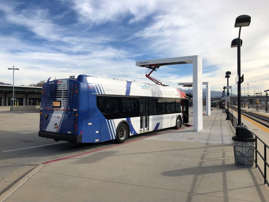 bus